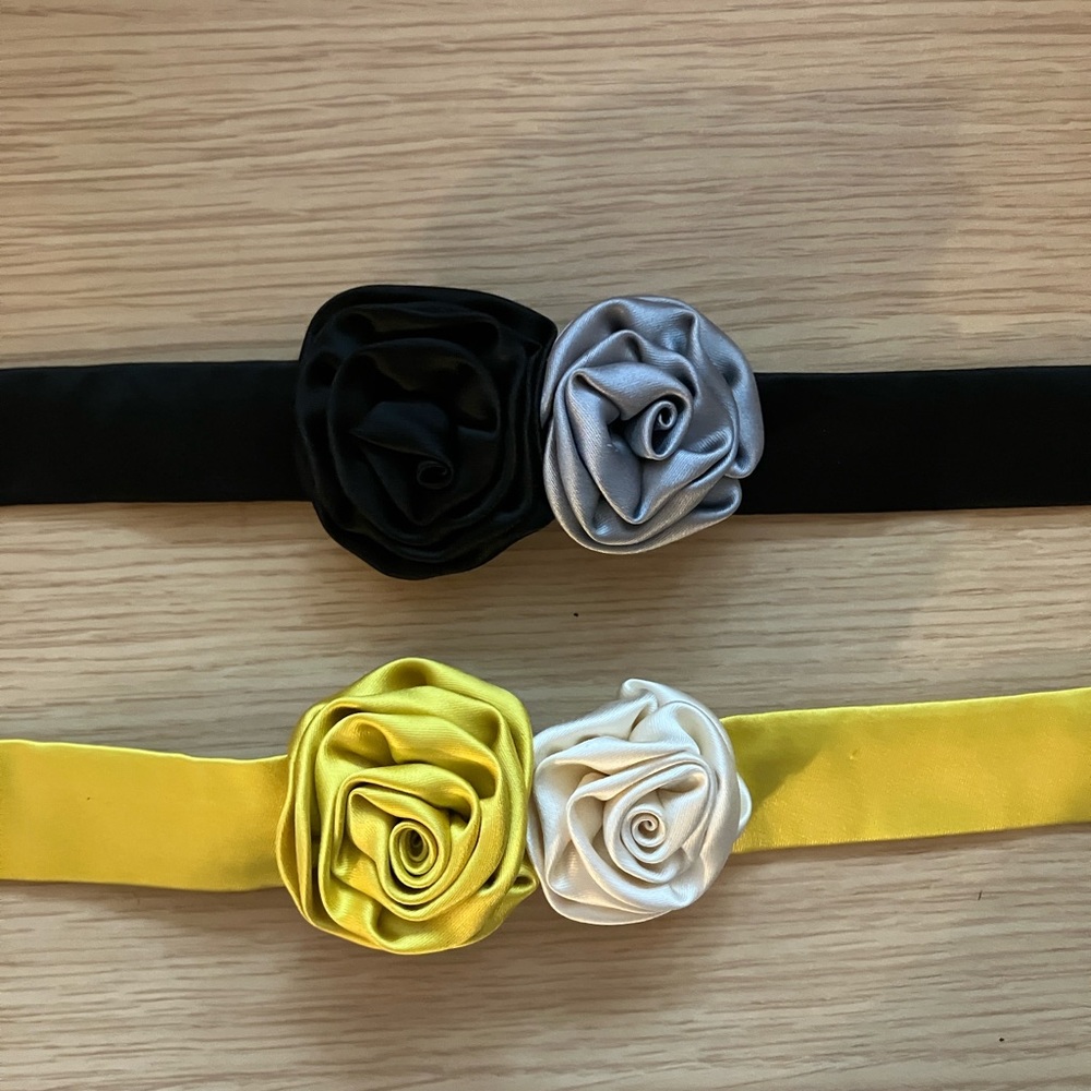 J.Crew Belt/Sashes